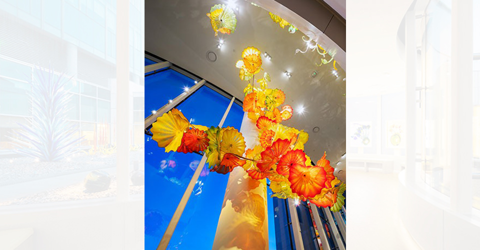 chihuly-sanctuary-at-the-fred-and-pamela-buffett-cancer-center-8